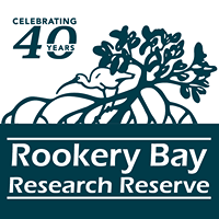 Rookery Bay Reserve Boat & Kayak Tours